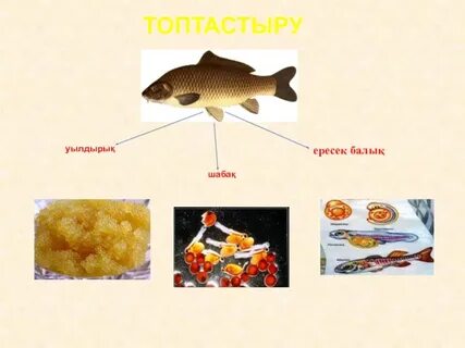 Анальды секс фотосуреттері