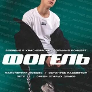 Фогель саранск