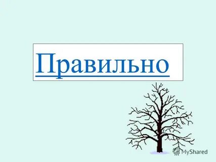 Верно п 1 2