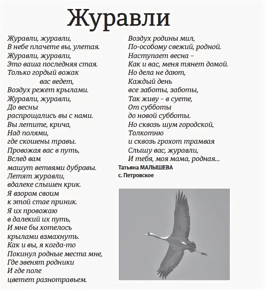 Песня журавли на французском на русском. Песня журавли на французском на русском. Песня журавли на французском на русском. Песня журавли на французском на русском. Журавли на девятое мая.