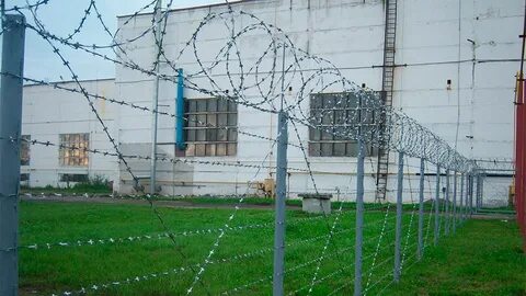 Проволока периметра