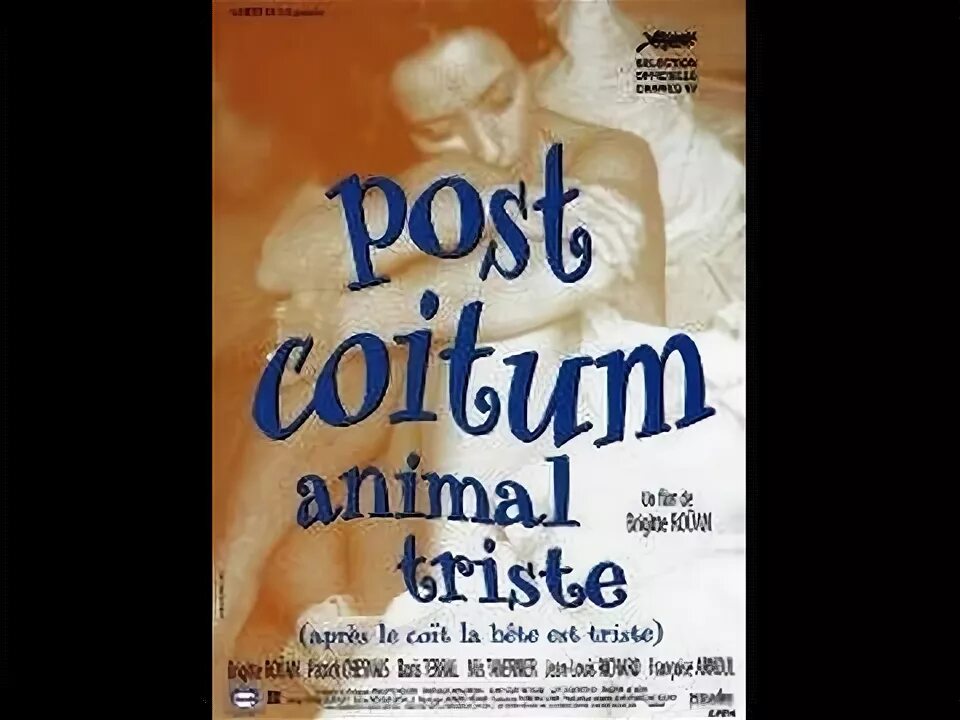 Omne animal Post Coitum triste. Post Coitum animal triste Drama 1997.