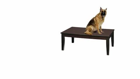 Dog table