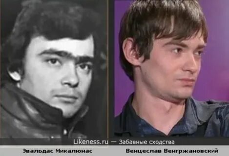 Похожей частью