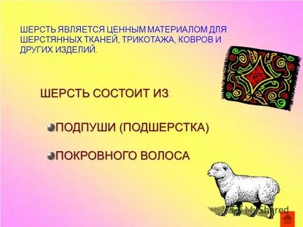 Шерсть является признаком