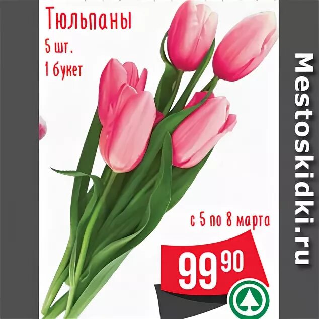 Спар тюльпаны. Тюльпаны в окее. Окей тюльпаны. Тюльпаны в окее СПБ.