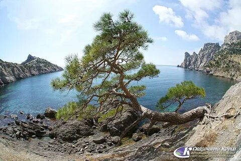 Ботанический заказник