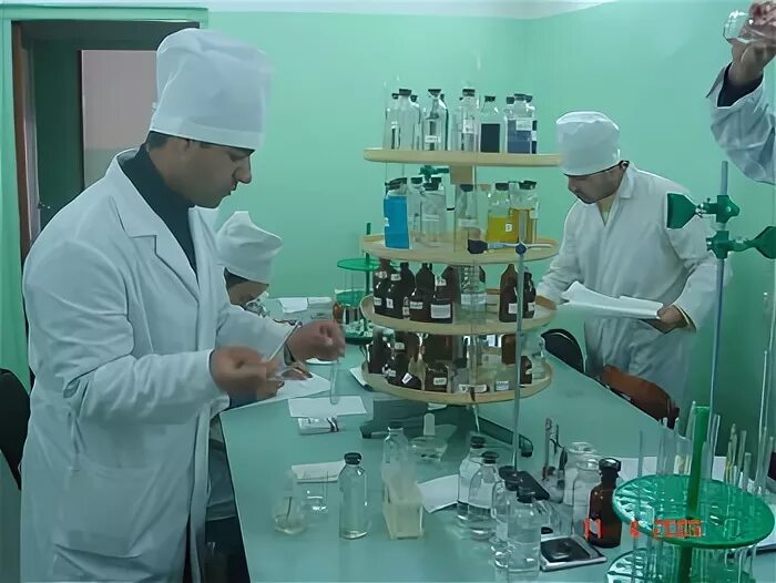 Медицинский колледж тюмень. Сгму фармация. Фармацевтический факультет сгму. Институт фармации нелюбина. Сгму фармация.