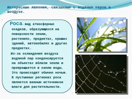 Взаимные превращения жидкостей и газов