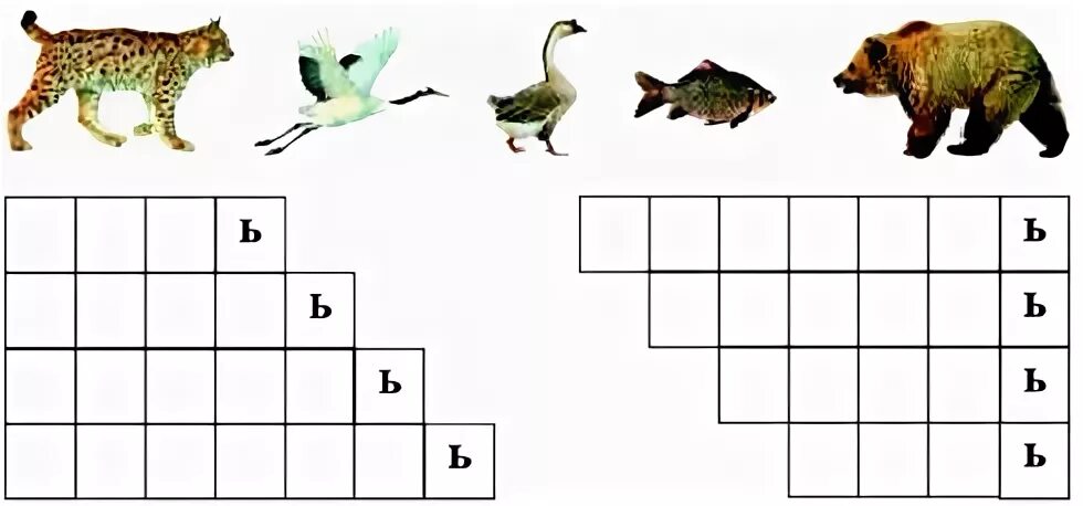 5 букв в конце д. Животные с мягким знаком на конце. Кроссворд с мягким знаком. Названия животных с ь. Название зверей на конце мягкий знак.