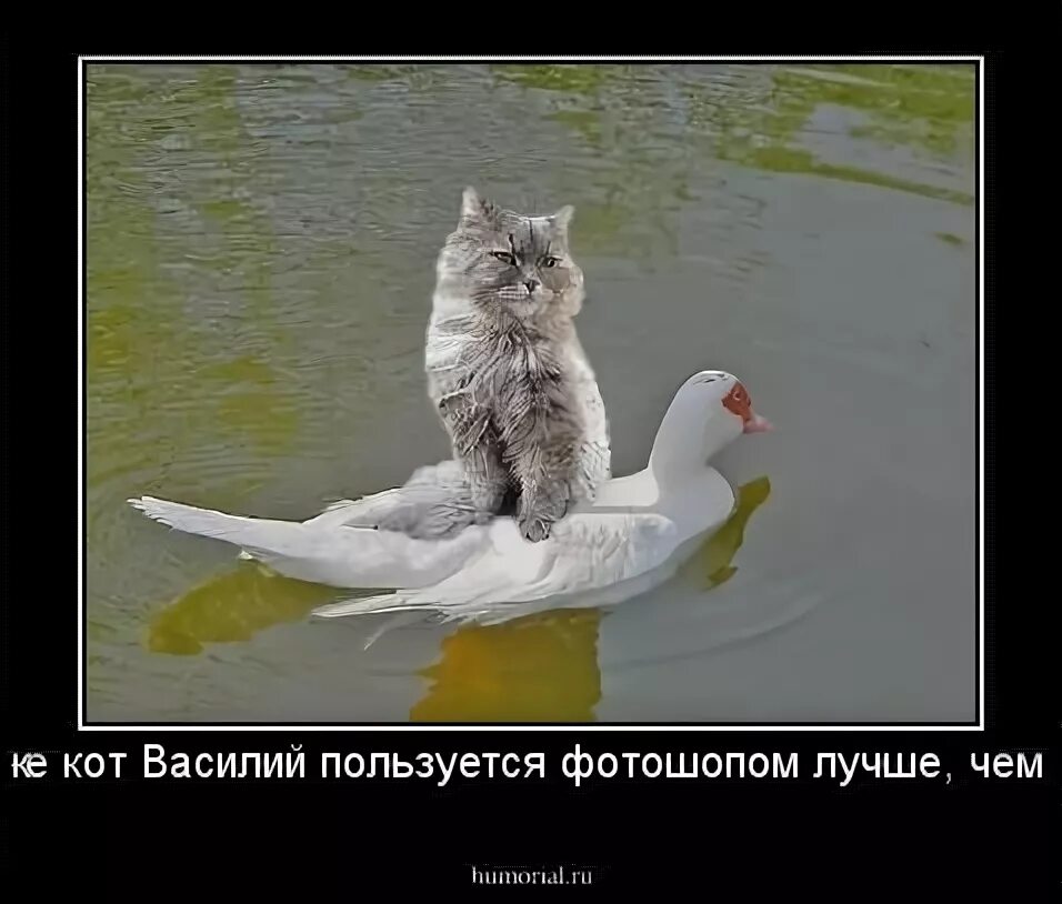 Картинки с надписью тварь. Я жру мем. Табличка на холодильник не жрать. Табличка на холодильник не жрать. Не жри обои.