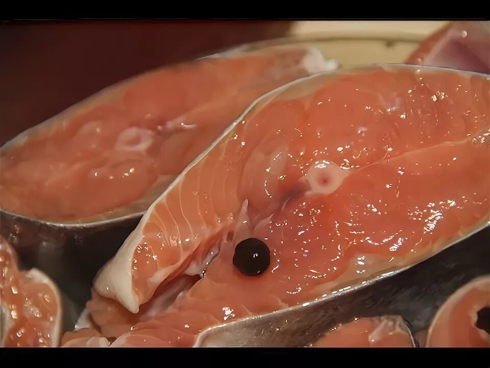 Как посолить кусочек семги. Горбуша соленая кусочками. Красная рыба в рассоле. Красная рыба в рассоле. Икра кусочками в рассоле.