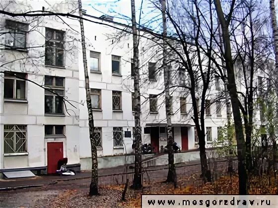 Дгп 81 филиалы