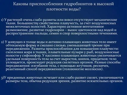 Плотный каков
