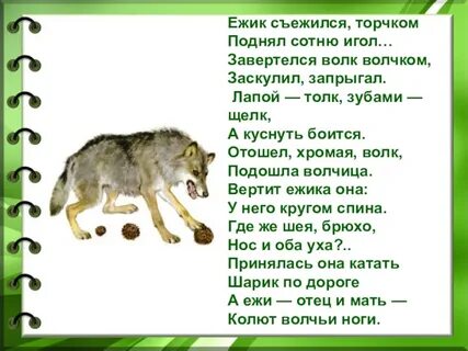 Ежик от страха пытается