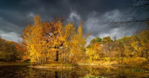 Осень в сокольниках слушать