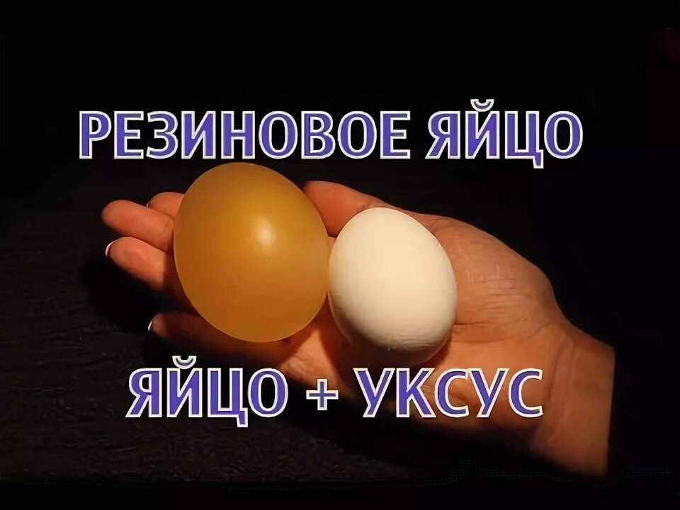 Почему яйца жидкие. Опыт с яйцом и уксусом. Яйцо в уксусе эксперимент. Резиновые яйца. Яйцо в уксусе.