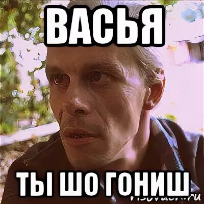 Гониш. Шо ты. Вася ты шо. Ты шо гонишь. Ну шо Вася.