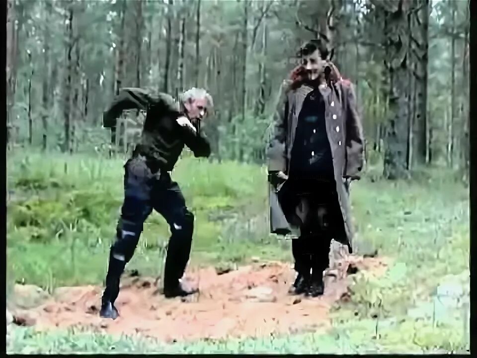 Старый следопыт. Лесной эльф монах днд. Эльф монах отшельник днд. Старый следопыт. Аукцыон старый следопыт.