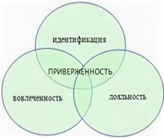 Идеологическая приверженность. Идеологическая приверженность