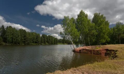 Три звезды березняк над прудом