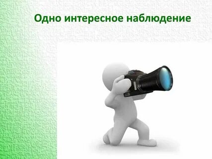 Наблюдение из жизни