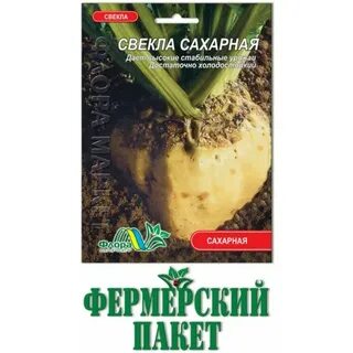 Выращивание семян сахарной свеклы