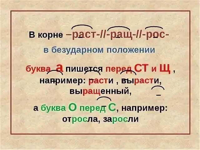 Вырасти проверочное слово