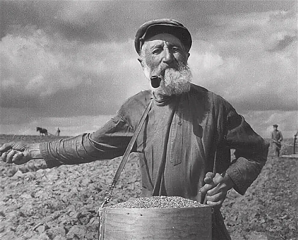 новогодние посевалки. крестьяне. посев зерна в старину. сеем старый. анатолий скурихин фотограф.