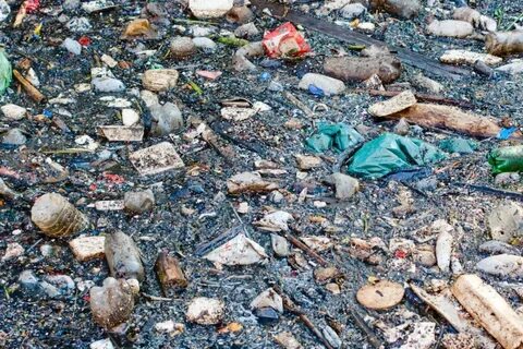 Загрязнение отходами что называют великим мусорным пятном