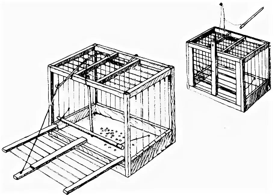 Чертежи ловушки фазана. Клетка западок для ловли птиц. Томский западок чертеж. Томский западок механизм. Клетка западок для ловли фазана