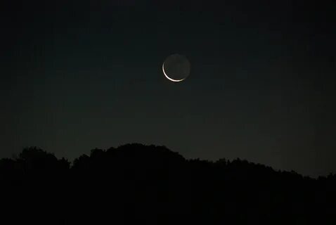 Night search