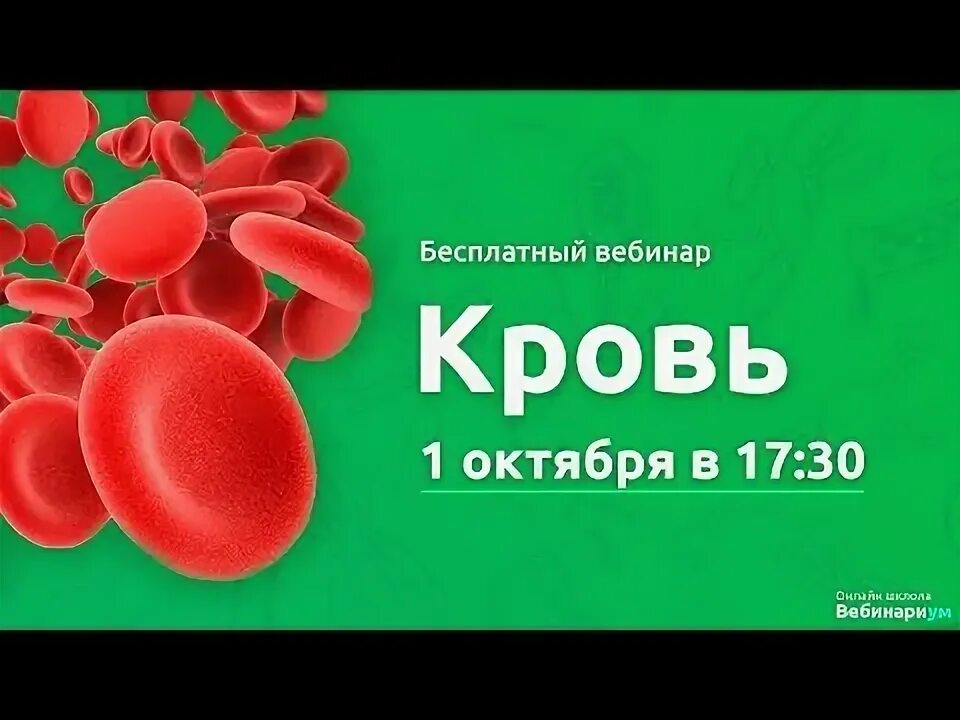 Кровь ЕГЭ биология. Кровь ЕГЭ. Кровь ОГЭ. ОГЭ по биологии кровь.