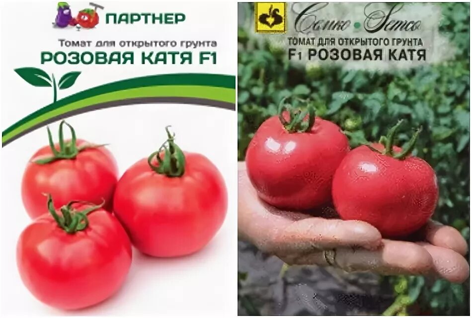 Томат розовая катя f1. Томат катя ф1. Помидоры сорт катюша. Томат катя f1 сю. Томат катя ф1.
