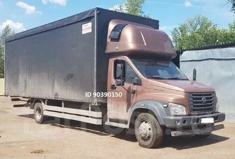 Луидор 3010gd