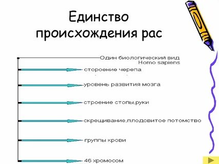 Единство происхождение рас