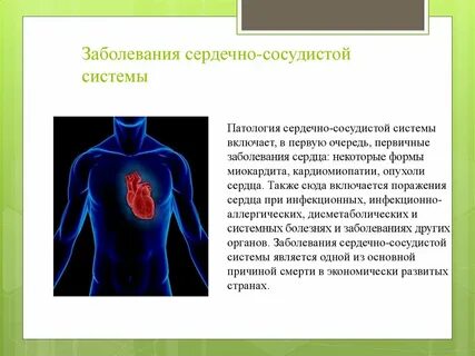 Как предупредить болезни сердечно сосудистой системы