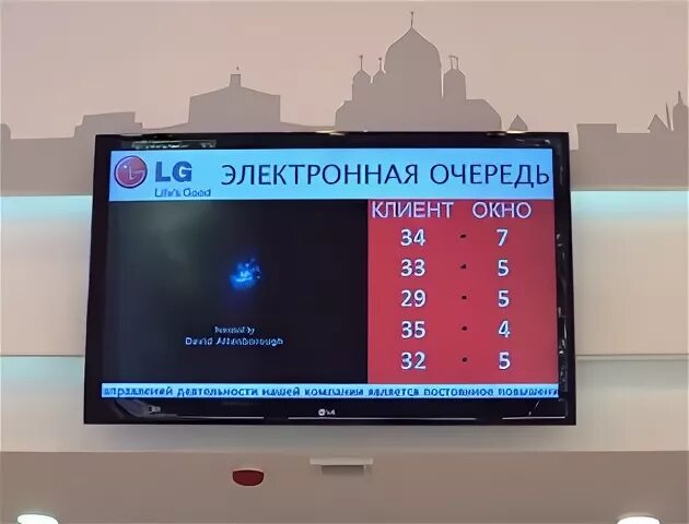 Электронная очередь на древесину