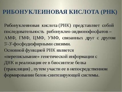 Рибонуклеиновая кислота