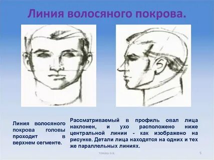 Третичный волосяной