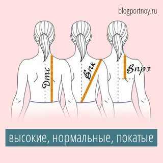 Линии мерке