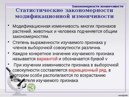 Практическая работа объяснение закономерности