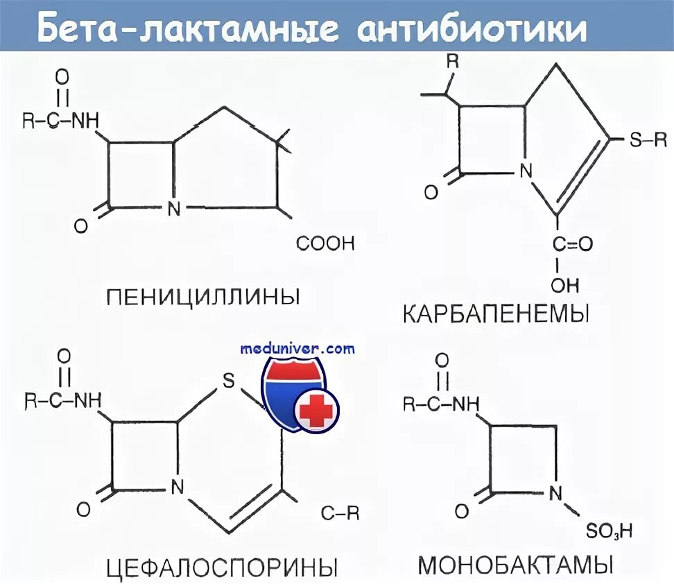 Антибиотики бета лактамной структуры. Бета-лактамные антибиотики препараты. бета лактамные антибиотики структура. химическая структура бета лактамных антибиотиков. бета-лактамные антибиотики формула.