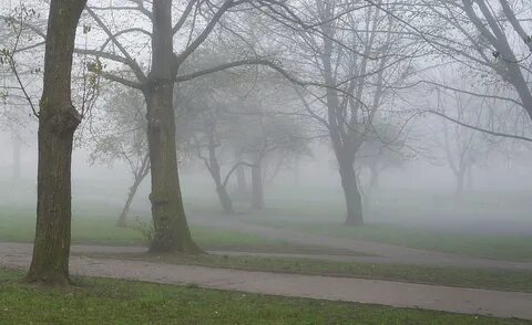 Dull weather