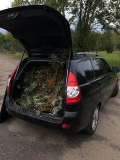 Приора универсал своими руками