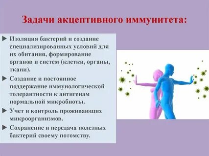 Повысить местный иммунитет