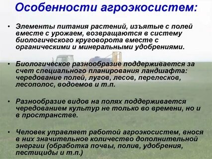 Сельскохозяйственные экосистемы