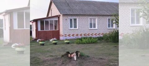 Авито тамбовская область село