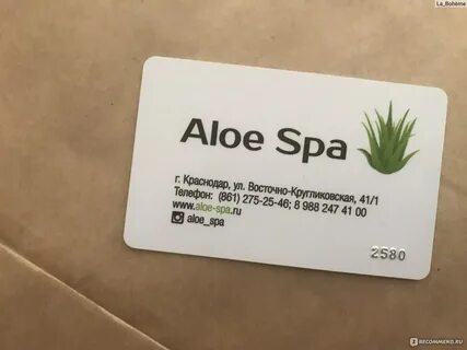 Алоэ краснодар