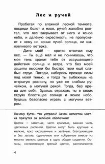Пробегая по влажной лесной темноте